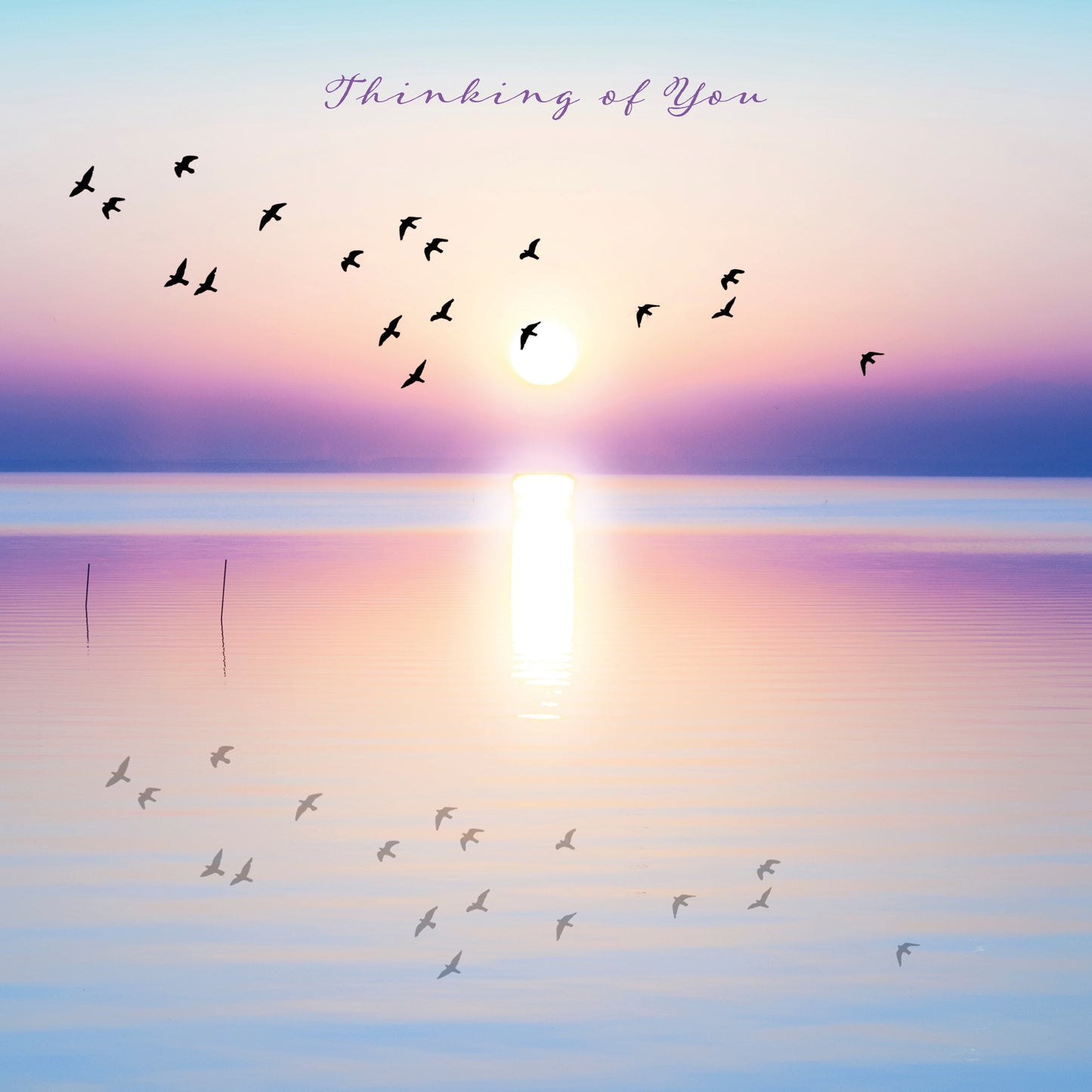 Multipack Greetings Cards (Pack of 12)