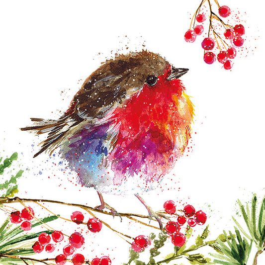 Fluffy Robin on Berry Branch (Pack of 10 cards)