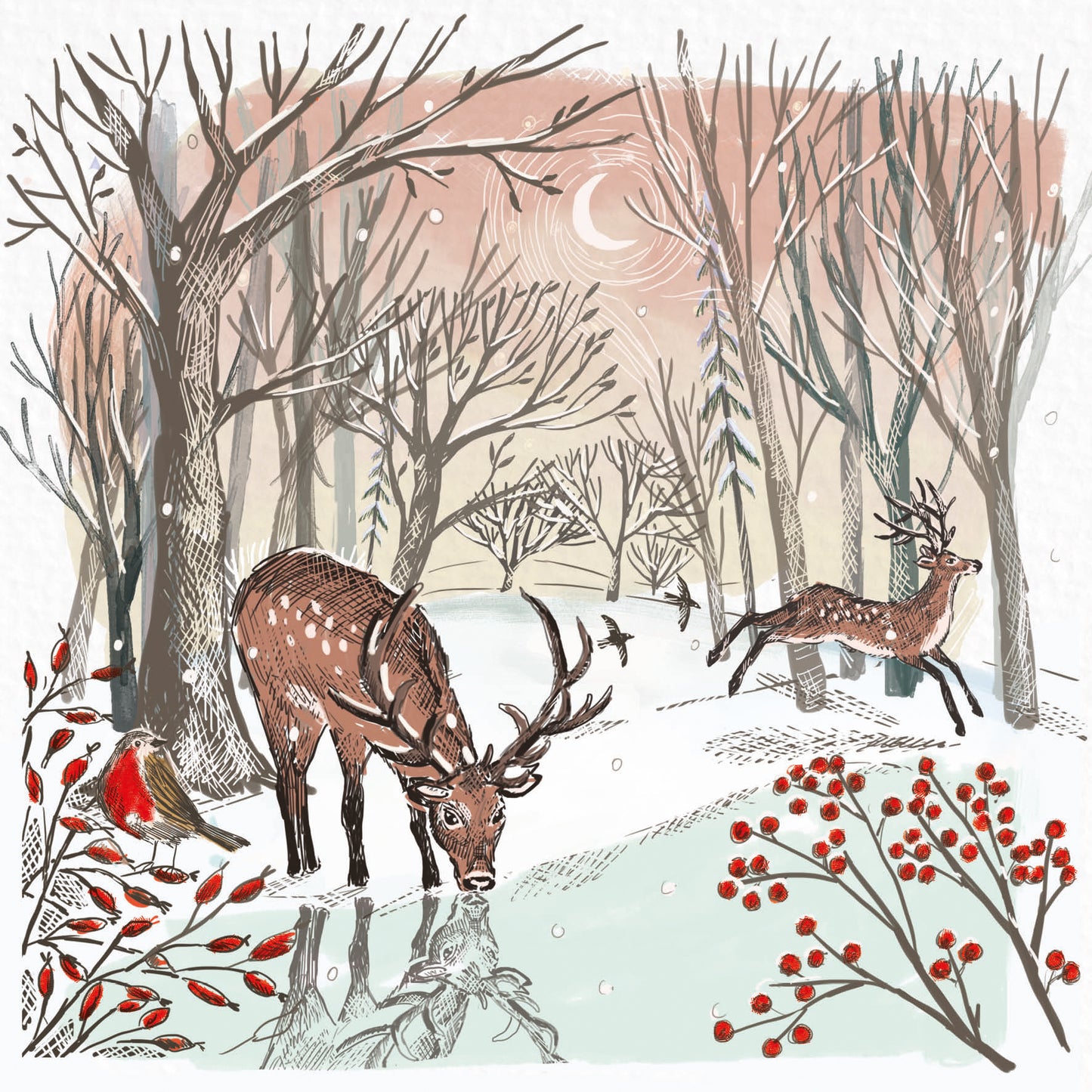 Woodland Multipack (Pack of 20)