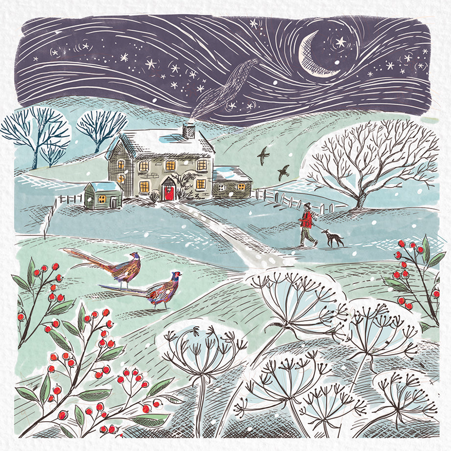 Woodland Multipack (Pack of 20)