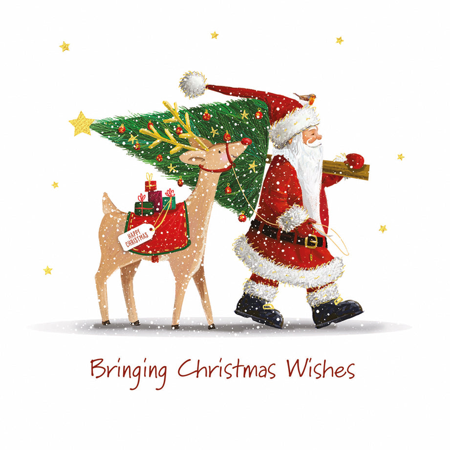 Festive Multipack (Pack of 20)