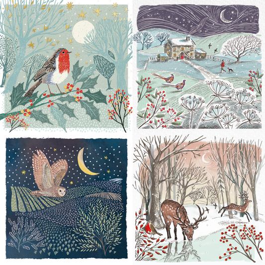 Woodland Multipack (Pack of 20)